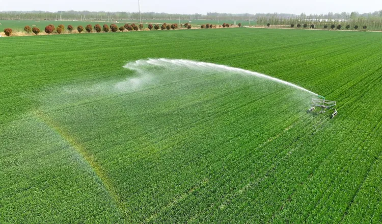 क्या चीन में जल नेटवर्क के निर्माण में प्रगति हो रही है?