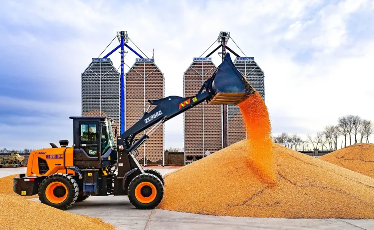 क्या चीनी बुद्धिमत्ता और वैश्विक खाद्य सुरक्षा का विलय संभव है?