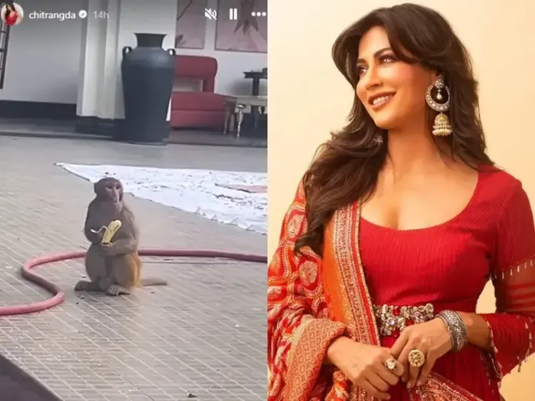 Chitrangda Singh Reveals New Set Lunch Visitor