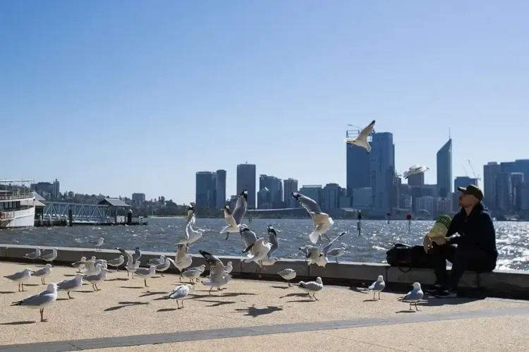 Is Climate Change Responsible for Nearly 100,000 Deaths from 2023 Heatwaves?
