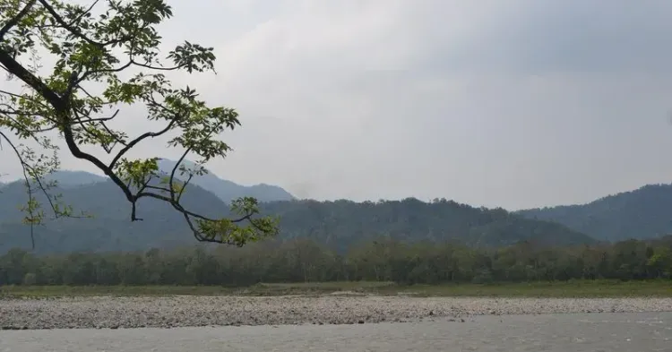 CM Assam Office Highlights Manas National Park's Rich Legacy