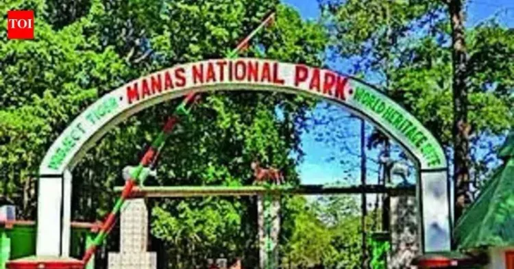 CM Assam Office: Manas hits 3-yr zero poaching mark
