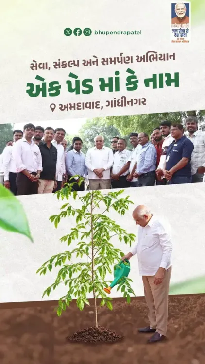 CM Bhupendra Patel Plants Trees in Ahmedabad, Gandhinagar to Mark Modi's 25 Years