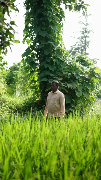 CM Bhupendra Patel: Vanbandhu scheme gives Dang farmer ₹1 lakh boost