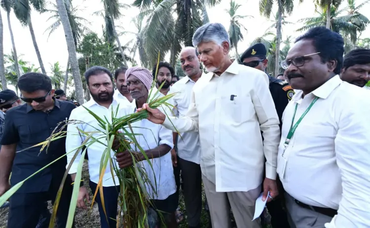 CM Chandrababu Naidu Visits Cyclone Arnab-Hit Konaseema Villages
