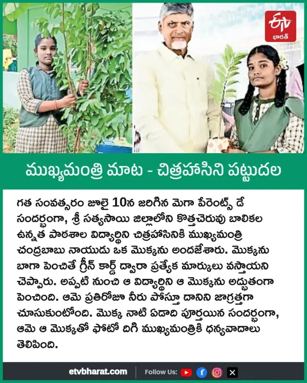 CM Chandrababu Praises Student Who Nurtured His Gift Plant
