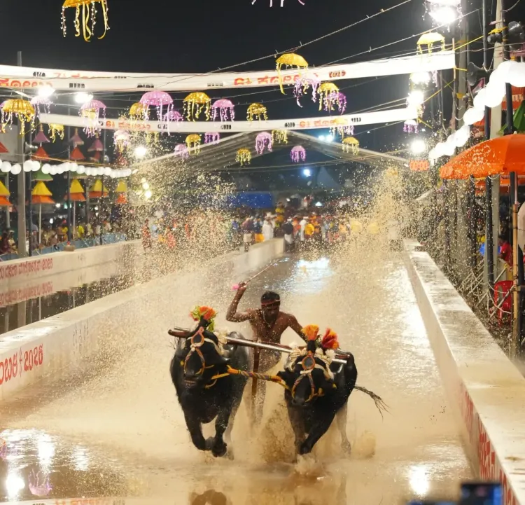 CM DK Shivakumar Inaugurates Kambala at Mysuru Dasara