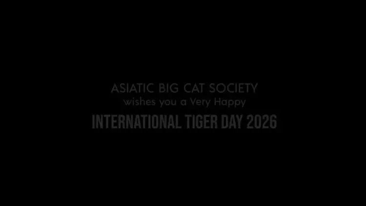 CM Fadnavis marks International Tiger Day with Asiatic Big Cat Society briefing