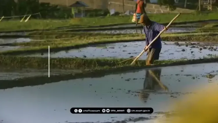 CM Himanta's Assam Eyes Organic Farming Future by 2030