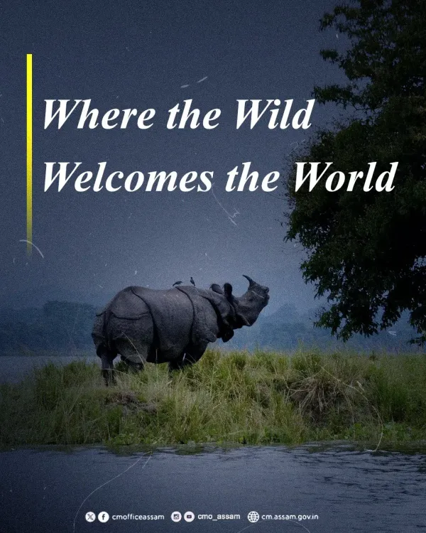 CM Himanta's Assam pitches Kaziranga, Manas as global eco-destinations
