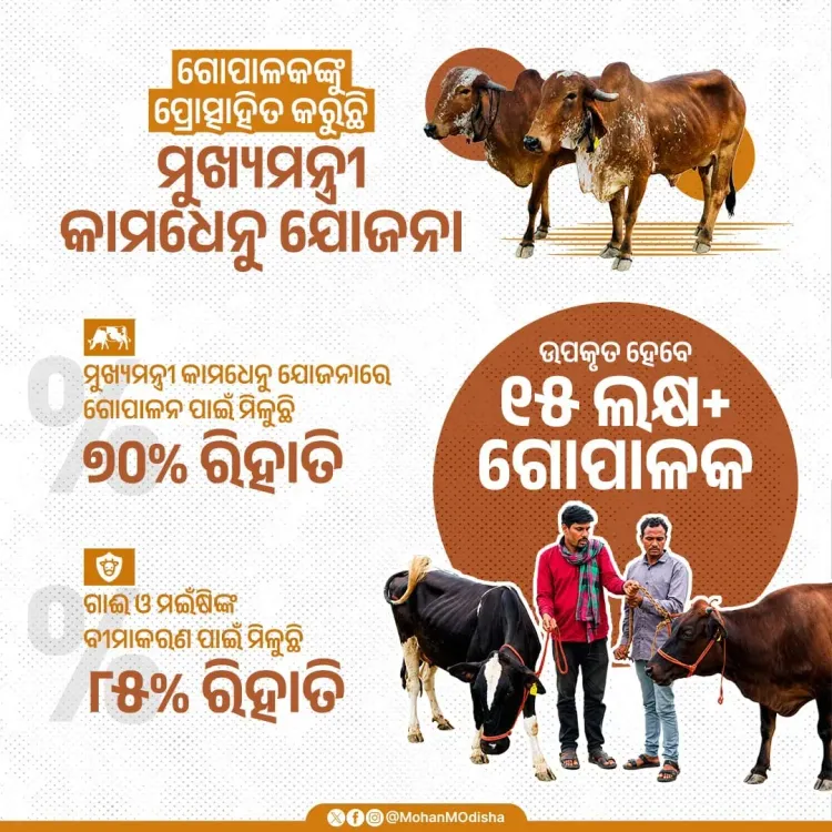 CM Majhi Pushes Dairy Growth via Kamdhenu Yojana Subsidies