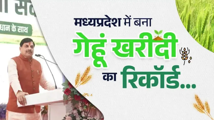 CM Mohan Yadav: MP buys wheat from record 14 lakh farmers