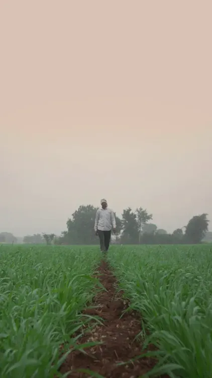 CM Mohan Yadav Pushes MP Toward 'Milk Capital' Status