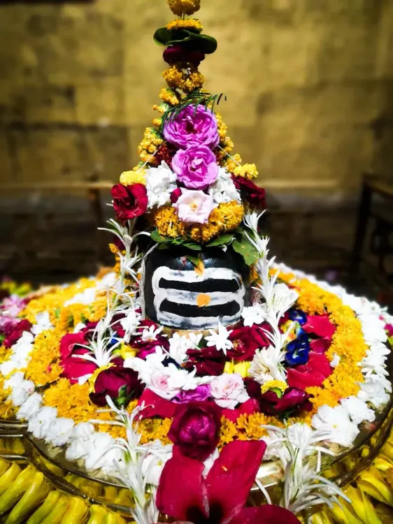 CM Mohan Yadav Seeks Blessings of Riddhanath Mahadev for MP