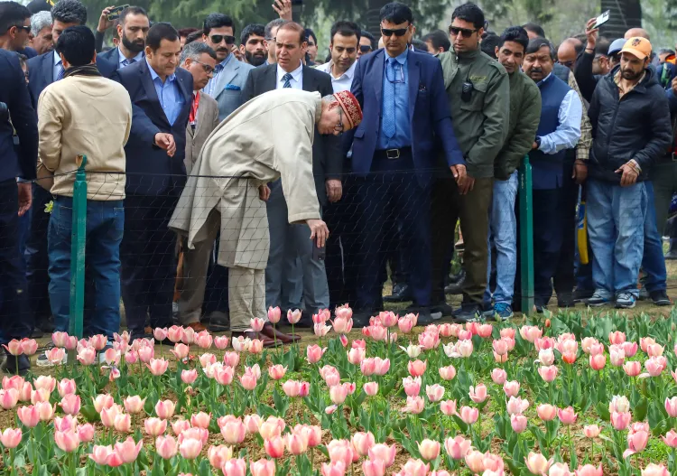 Omar Abdullah Unveils Asia's Largest Tulip Garden in Srinagar