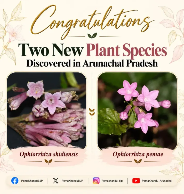 CM Pema Khandu: New Plant Species Named After Him in Arunachal