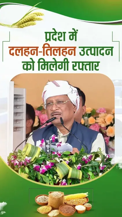 CM Sai Announces Rs 15,000 Input Aid for Pulses, Oilseeds in Chhattisgarh