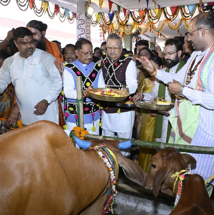 CM Sai Observes Hareli Tihar, Worships Cows in Chhattisgarh