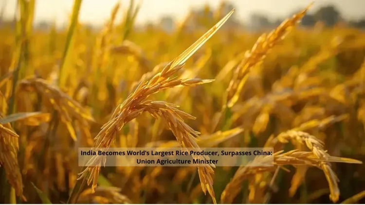 CM Samrat Choudhary Hails India as World's Largest Rice Producer