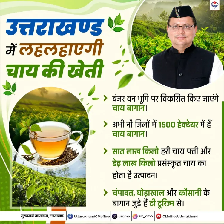 CM Uttarakhand Pushes Tea Cultivation Across Hill Districts