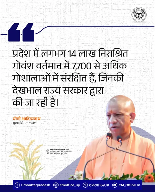 CM Yogi: UP shelters 14 lakh stray cattle in 7,700+ goshalas