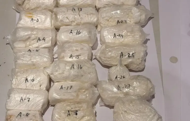 Cocaine hidden in trolley handle: Ugandan national held at Ahmedabad airport