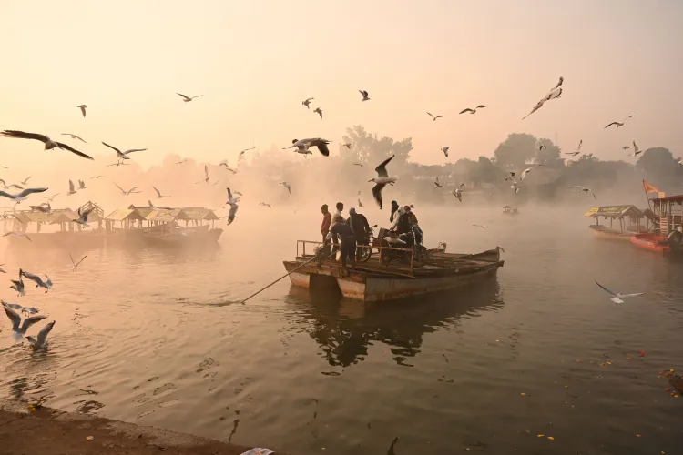 Is the cold wave in MP causing temperatures to plunge to 1.8 degrees Celsius?