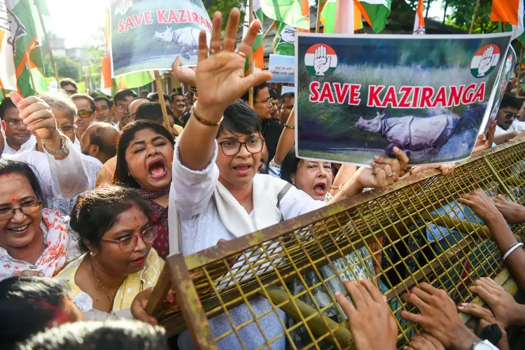 Kaziranga ESZ row: Assam CM Sarma fires back at Congress, backs locals