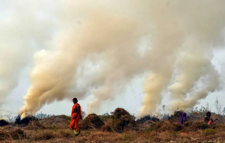 Should the Government Consider Arrests to Stop Stubble Burning?