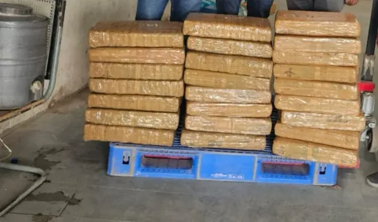 NCB busts courier drug network in Varanasi, seizes 124 kg ganja; one arrested