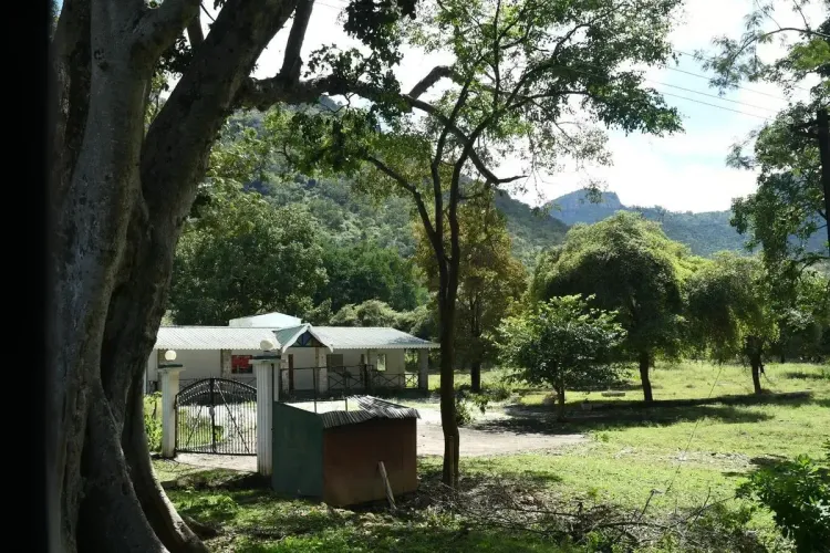 Is There a Crackdown on Illegal Homestays and Cottages in TN's Nilgiris?