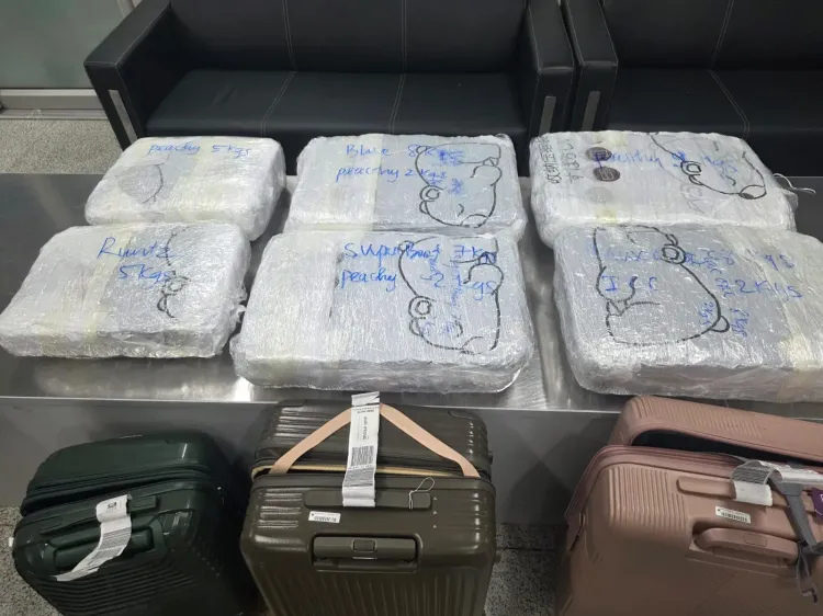 IGI Airport customs seize ₹48 crore hydroponic weed, two Thai nationals arrested