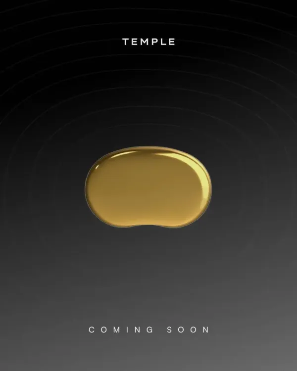 Could Deepinder Goyal's ‘Temple’ Revolutionize Brain Monitoring?