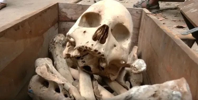 Human skeleton found during BJP cleanliness drive in New Delhi