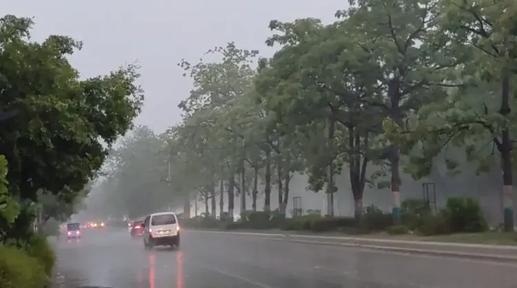 Delhi-NCR rain relief: Pleasant weather likely till June 4, IMD forecast
