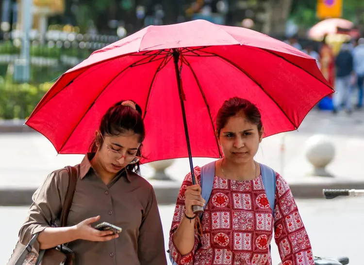 Delhi-NCR weather on 29 August: 36°C heat, haze; IMD rain alert for 21 states