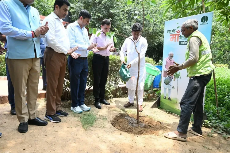 NDMC plants 612 trees, 50,200 shrubs across 34 sites in Delhi Mega Drive 2026