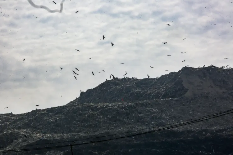 Is Delhi Really Processing Only 64% of Its Daily Waste?