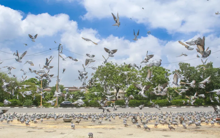 Significant Improvement in Delhi's Air Quality Post-Rainfall