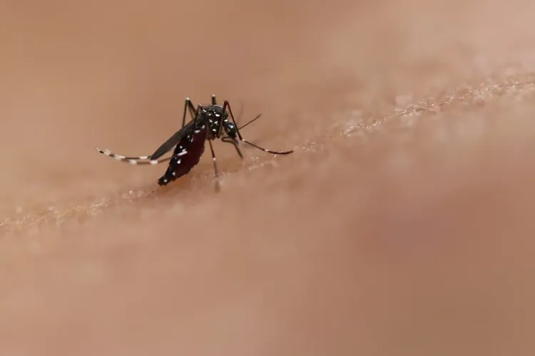 Sri Lanka dengue cases cross 27,754 with 14 deaths amid monsoon risk