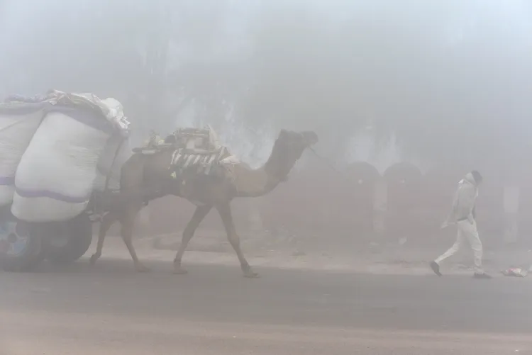 What Impact Does Dense Fog Have on Rajasthan's Visibility?