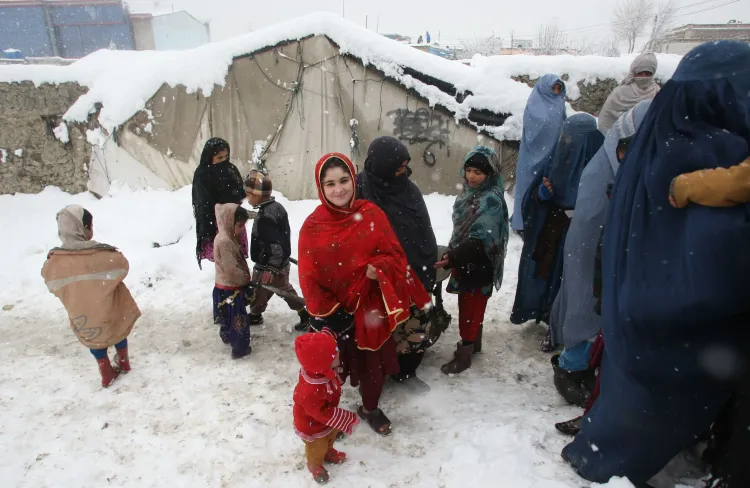 How Many Afghan Migrants Have Died from Freezing Conditions at the Iran Border?