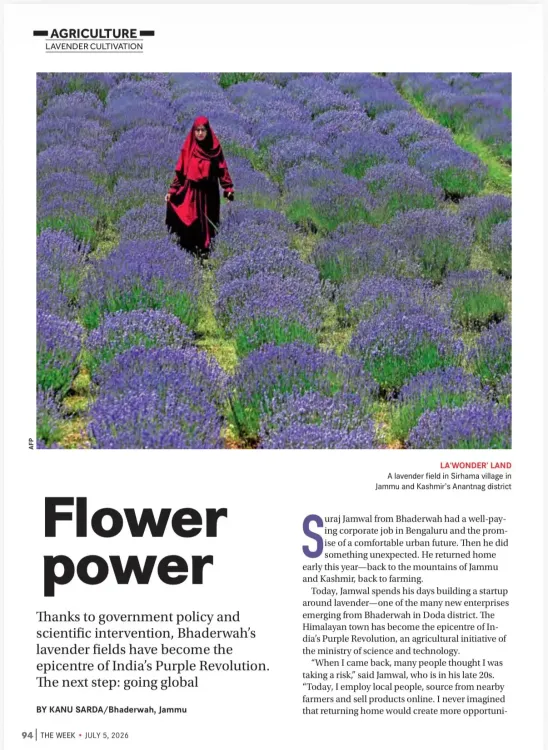 Dr. Jitendra Singh Highlights Bhaderwah Lavender Festival Coverage