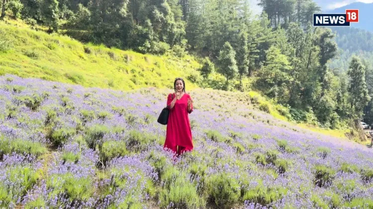 Dr. Jitendra Singh Highlights J&K Lavender Festival, Purple Revolution