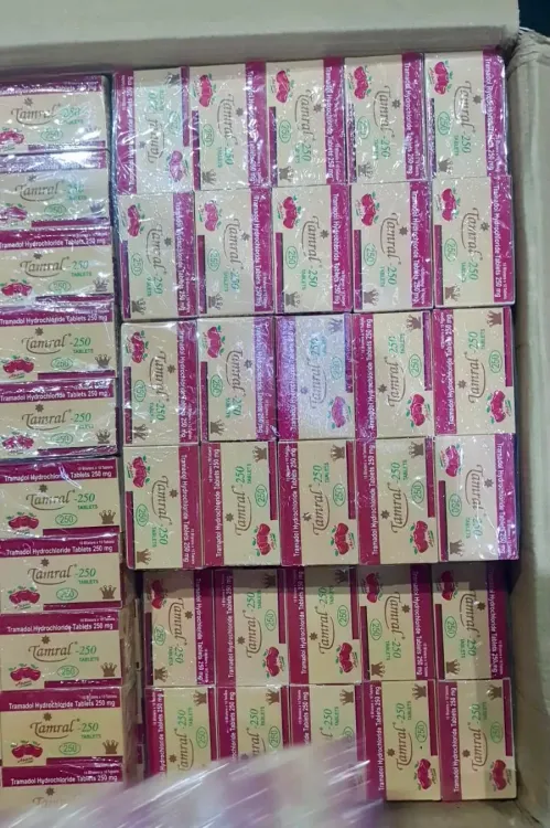 DRI busts Ambernath drug unit, seizes 2 lakh tablets in Nigeria export bid