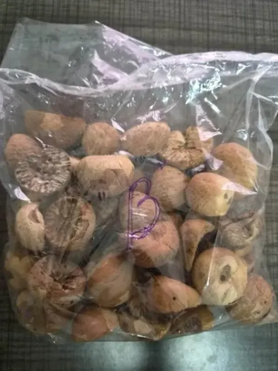 DRI seizes 60,000 kg smuggled areca nuts in Assam, Mizoram; 5 arrested