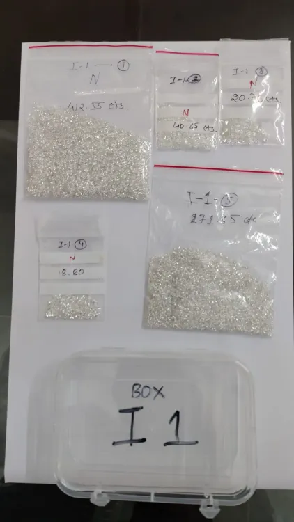 DRI seizes diamonds worth ₹5.7 crore at Mumbai airport, two arrested