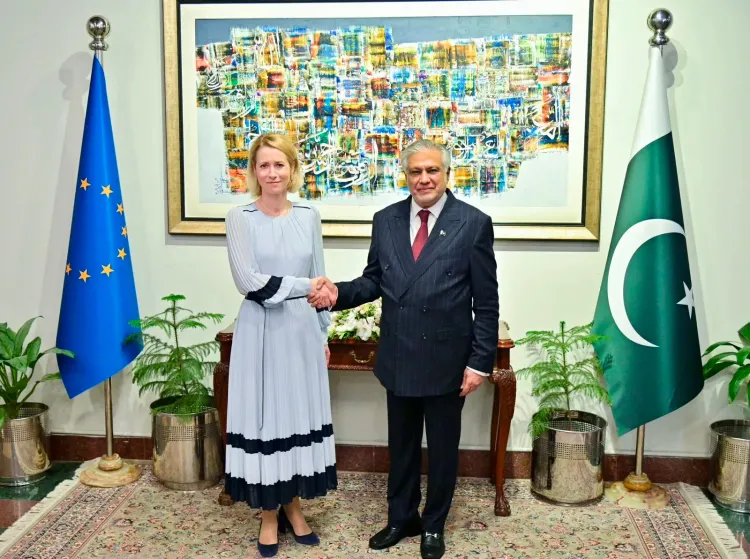 EU's GSP-Plus to Pakistan under fire over human rights failures since 2014
