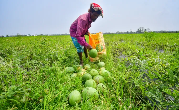 KCC-MISS: Every ₹1 invested adds ₹2.30 to farm value, Parliament told
