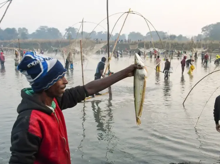 WTO Fisheries Subsidies pact: India weighs implementation challenges post-ratification
